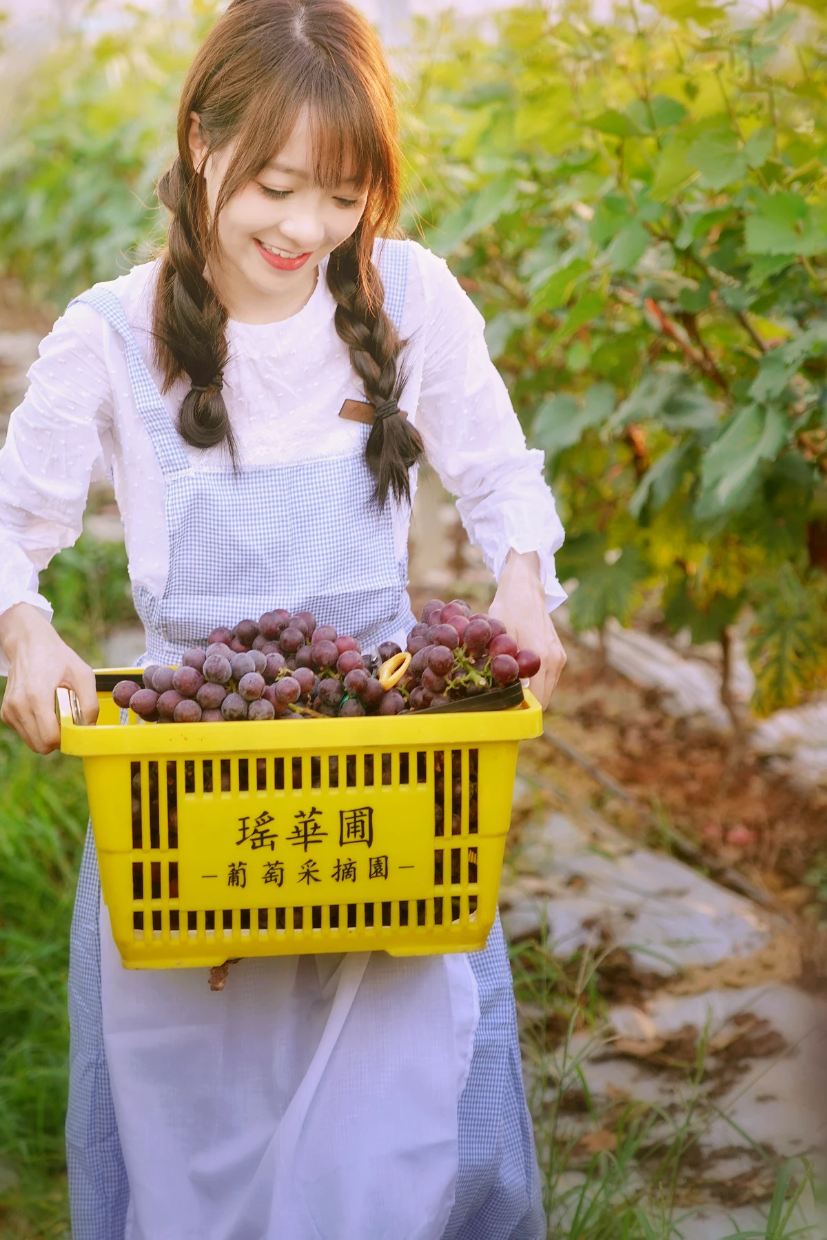 [YITUYU] 2023.02.04 Vol.2969 The joy of harvest in the vineyard duck duck#[24P]-20